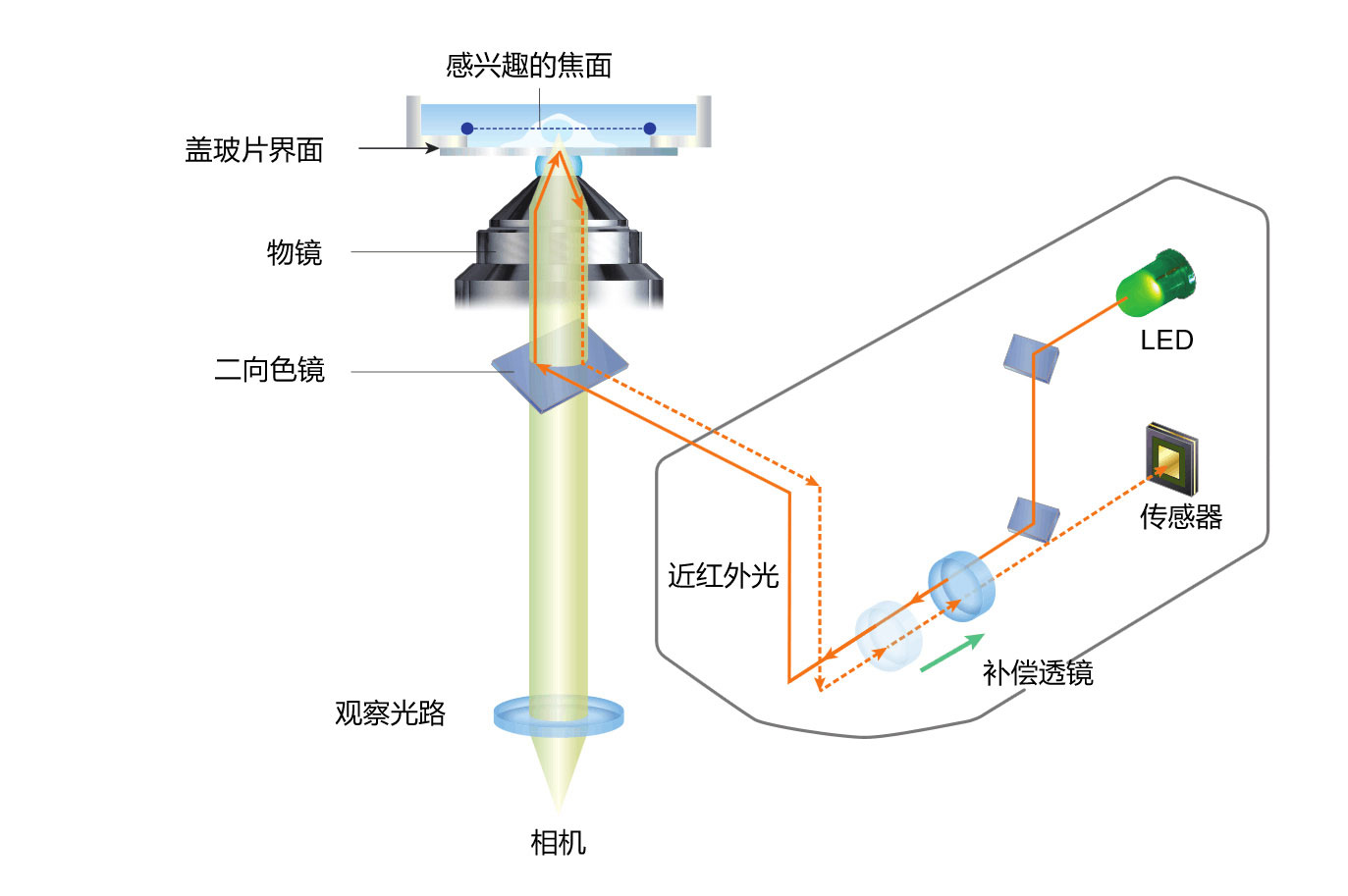 ECLIPSE Ti2尼康倒置生物显微镜-上海思长约光学经销