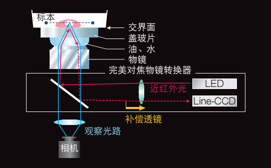 Ti-S-Ti-E,Ti-U尼康三目倒置生物显微镜-上海思长约光学经销