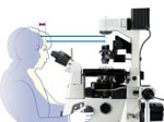 Ti-S-Ti-E,Ti-U尼康三目倒置生物显微镜-上海思长约光学经销