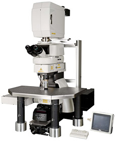 Ni-E-尼康研究级生物显微镜-上海思长约光学经销