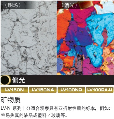 LV150N/LV150NL/LV150NA尼康正置金相显微镜-上海思长约光学经销